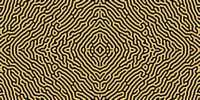 Brain Pattern Vector 的图像结果