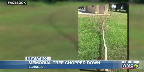 Elaine, Ark. memorial tree planned to be replaced after being vandalized