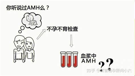 AMH检查流程、费用及最佳时间 - amh与年龄对照表 - 久久助孕网