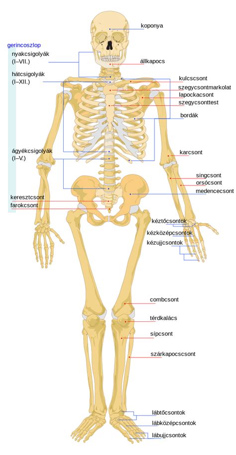 OS Corps 的图像结果