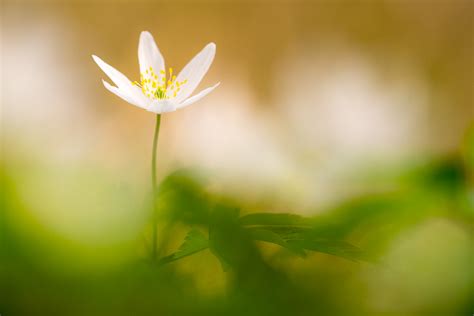 Frame Within A Frame Photos