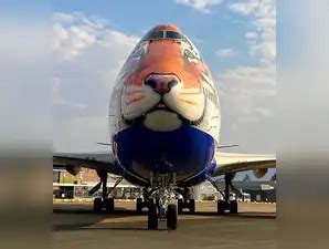 Everything you need to know about the special jet to airlift cheetahs ...