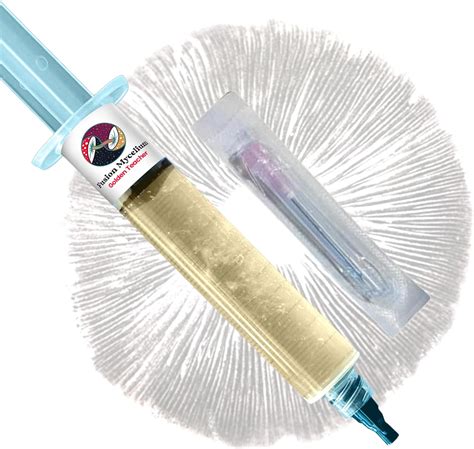 Mushroom Liquid Culture Syringe - | Golden Teacher | Nepal | Ubuy