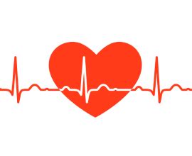 (Call US: 8484930905) Discover comprehensive care at Highway Hospital ...