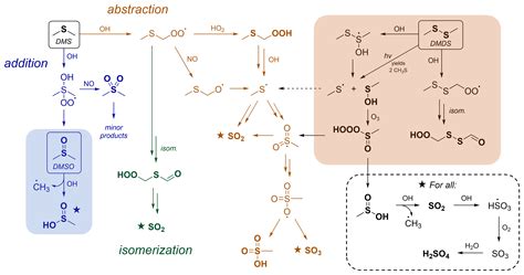 ACP - Chamber studies of OH + dimethyl sulfoxide and dimethyl disulfide ...