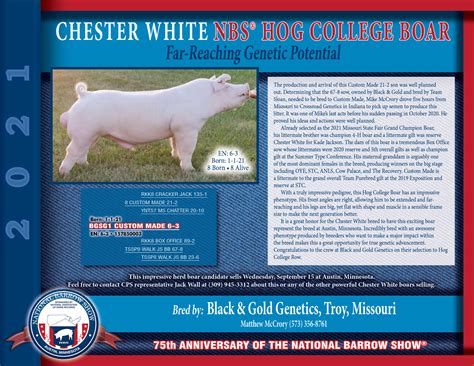 2021 National Barrow Show » Certified Pedigreed Swine