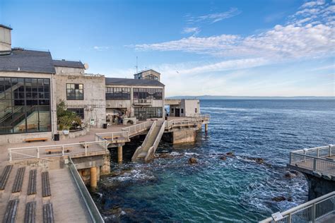 Visitor frequently asked questions | Monterey Bay Aquarium