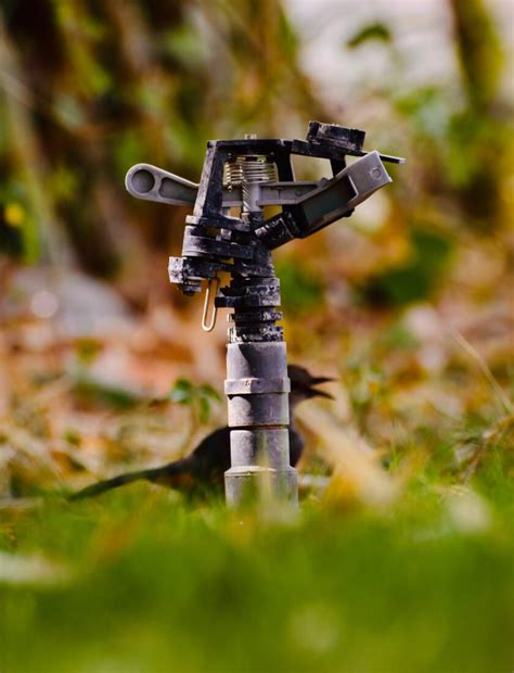 Image result for Welltech Washing Machine