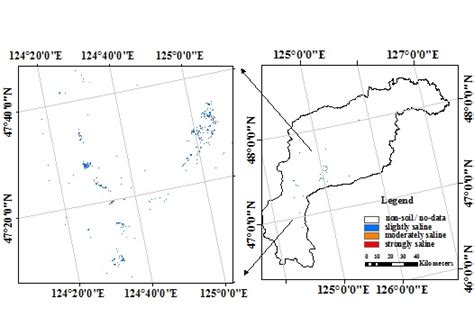Remote Sensing of Soil Alkalinity and Salinity in the Wuyu’er ...