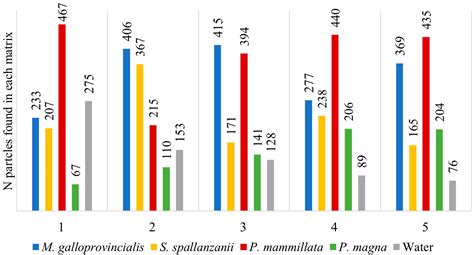 Microplastics Uptake by Four Filter Feeders