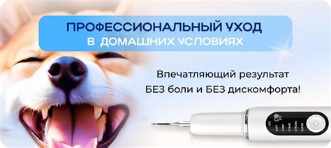 Скалер ультразвуковой для собак/ профессиональное удаление зубного ...