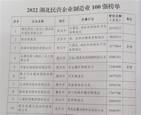 2022湖北民营企业100强榜单发布