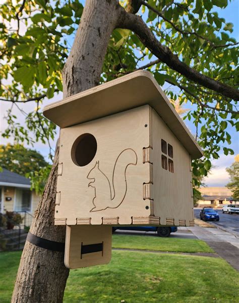 DIY Squirrel House Plans