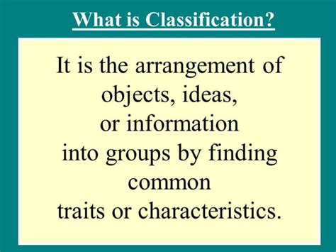 Classification Explained 的图像结果