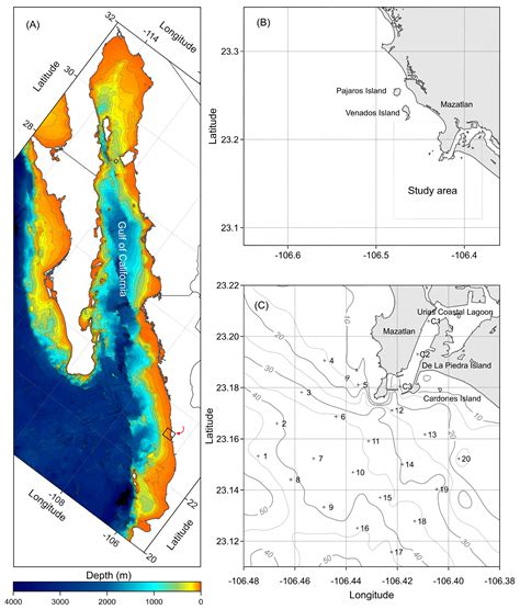 Phytoplankton Structure in a Coastal Region of the Eastern Entrance of ...