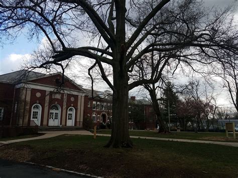 Seth Boyden School Introduces New Children's Arboretum April 27 - The ...