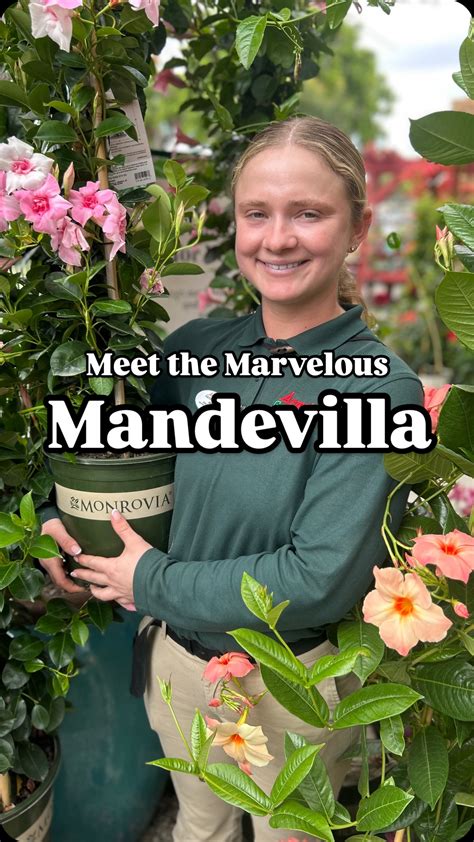 Armstrong Garden Centers | ️ Leave some 🐞🐞🐞 in the comments if you love ...