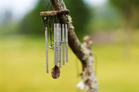 The 10 Best Wind Chimes for Great Vibes in Your House and Garden (2026 ...