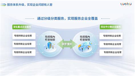深圳丨罗湖服务体系升级工作方案PPT - 深圳丨罗湖服务体系工作方案PPT