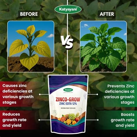 Buy Katyayani Zinc EDTA 12% Chelated Fertilizer Online