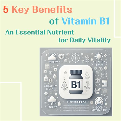 The Science Of Vitality: Essential Nutrients For Life