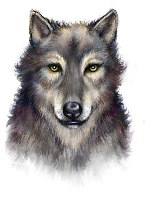 Image result for Wolf Art Tutorial