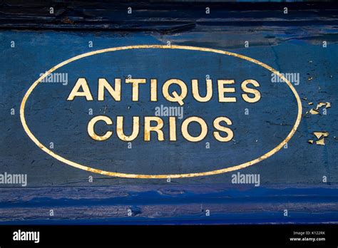 Image result for Curios Mod Minecraft