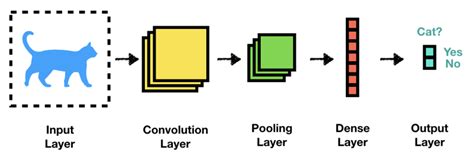 CNN Computer Vision 的图像结果