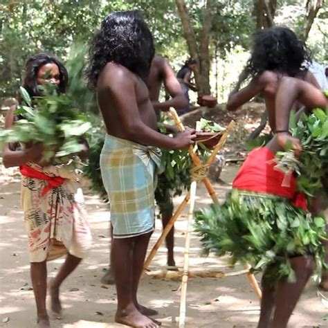 Vadda People: Indigenous Inhabitants of Ancient Sri Lanka