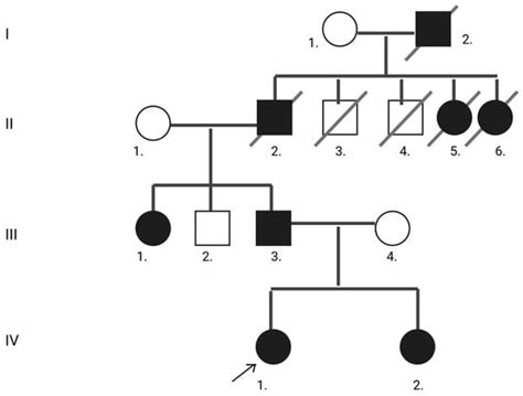 Neurology International | An Open Access Journal from MDPI