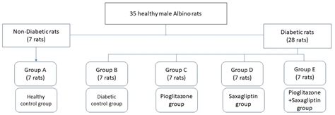 The Safety and Efficacy of Combining Saxagliptin and Pioglitazone ...