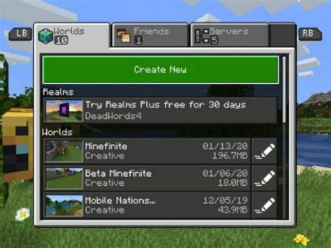 Why Can't I Play Multiplayer On Minecraft Java 的图像结果
