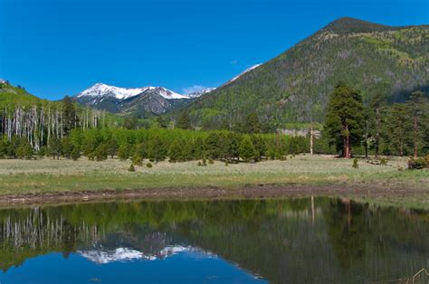 Elevation of Lynx Ln, Flagstaff, AZ, USA - Topographic Map - Altitude Map