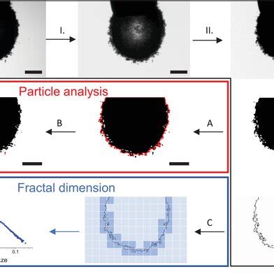 Digital Image Example 的图像结果