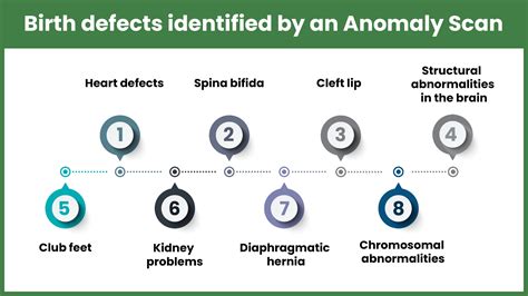 How is an anomaly scan done?