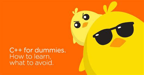 Image result for C Programming For Dummies