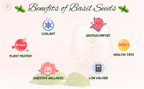 Earthen Story Organic Sabja Seeds 250g | Raw Basil Seeds | Rich in ...