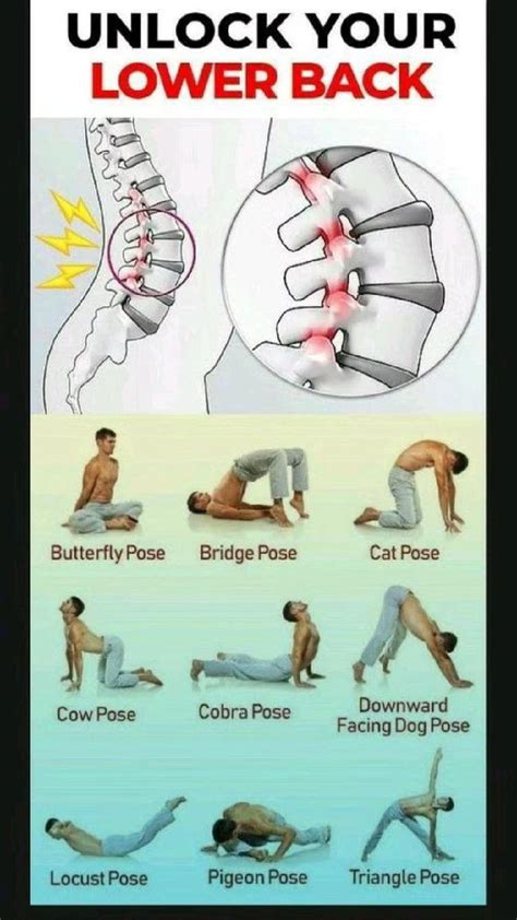 Image result for Pandiculation Exercises for Lower Back