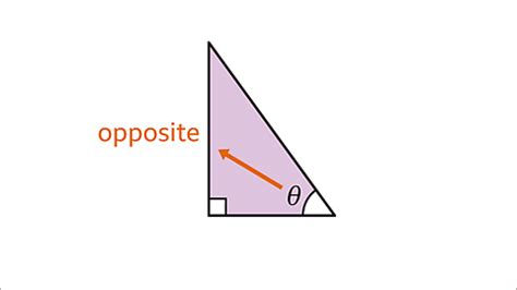 Introduction to Trigonometry - Year 7 PDF Download