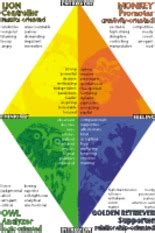 Image result for Transition Matrix in Animal Behavior