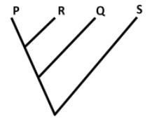 The character matrix below lists four taxa (P-S) and their nine ...