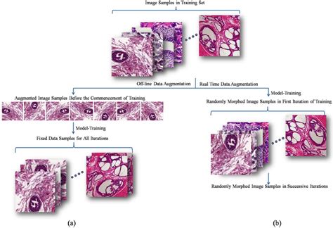 Image result for Data Augmentation Methods For