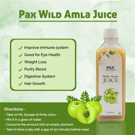 Top Amla Juice Brands in India | Buy online Amla Juice in India – Pax ...