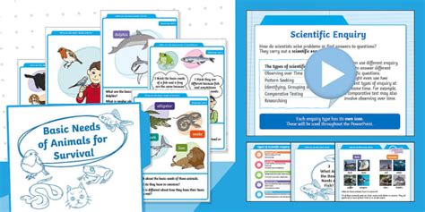 Step into Science: Y2: Autumn: Block 1: Animal Needs for Survival ...