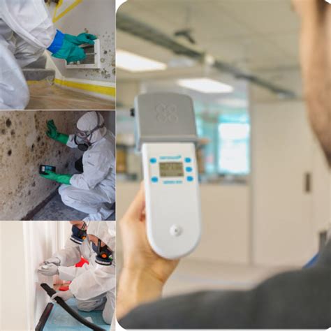 Image result for Mold Testing MA