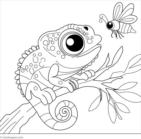 Chameleon Coloring Pages