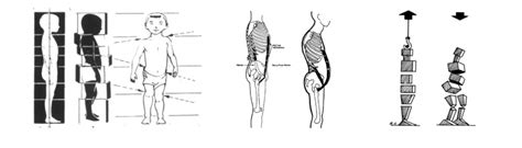 Image result for Structural Integration Exercises