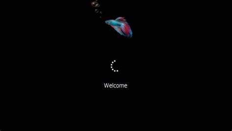 Image result for Windows 1.0 Boot Logo