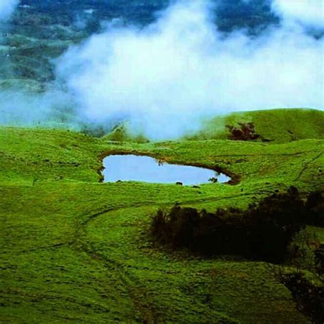 Wetland Resort : The Land Drenched in Nature