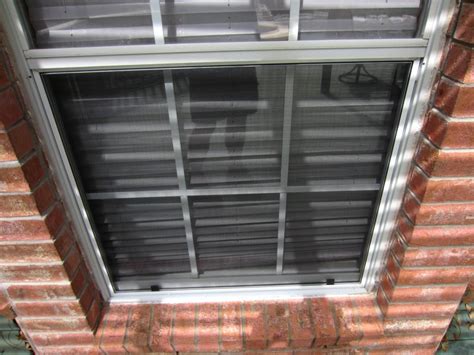 Image result for Window Bug Screens